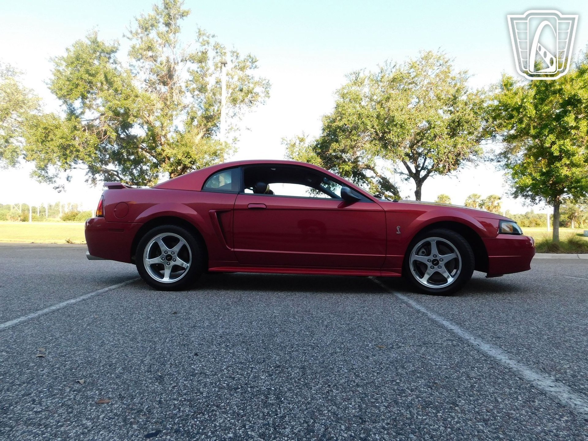 Used 2001 Ford Mustang Cobra image 11