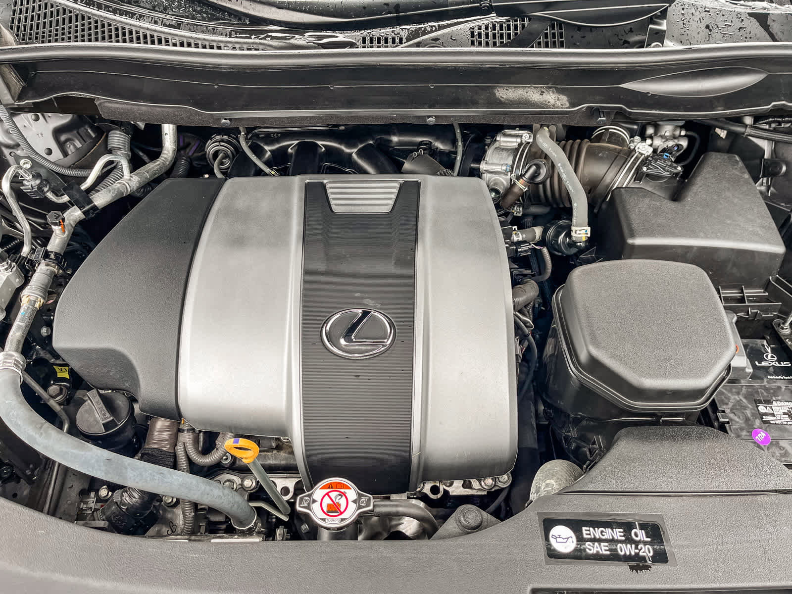 Certified 2022 Lexus RX 350 FWD image 26