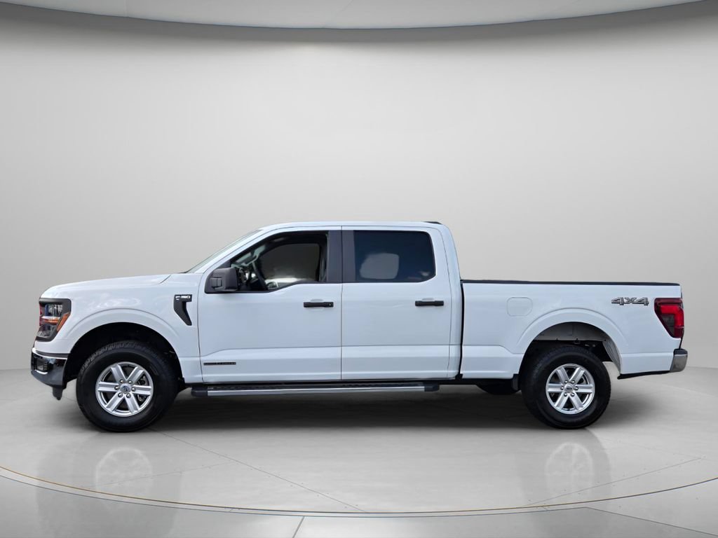 Used 2025 Ford F150 XL w/ Equipment Group 104A Hybrid AWD/4WD image 3