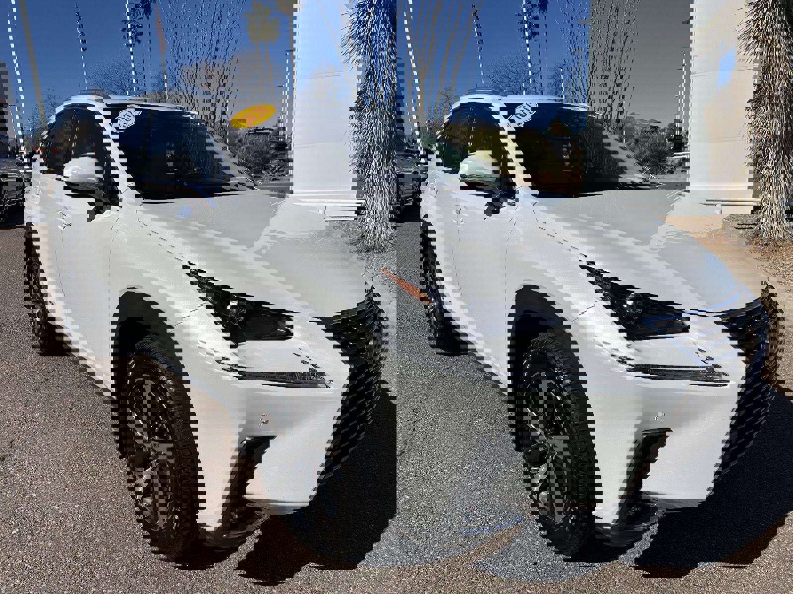 Used 2020 Lexus NX 300h AWD w/ Premium Package image 16