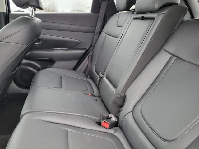 Used 2025 Hyundai Tucson SEL AWD/4WD image 11