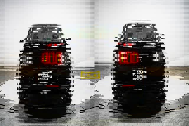 Used 2016 Ford Mustang GT Premium w/ Equipment Group 401A image 3