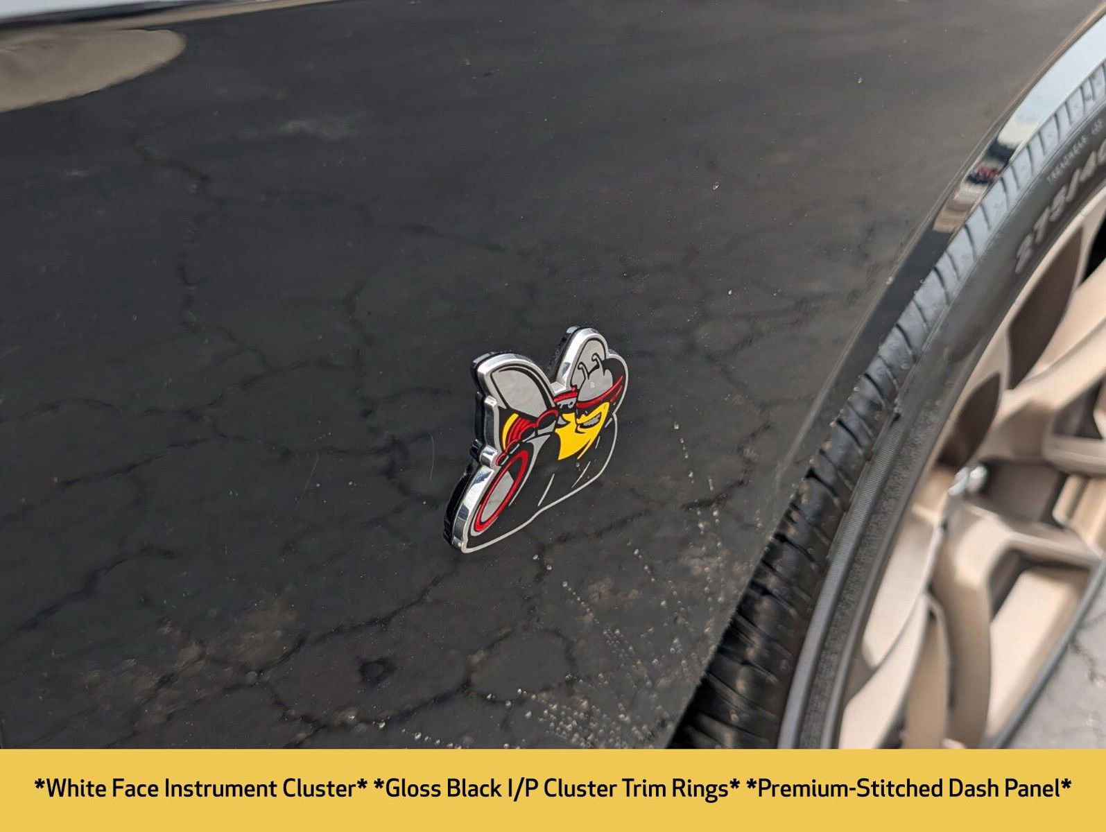 Used 2022 Dodge Challenger R/T Scat Pack w/ Shaker Package image 19