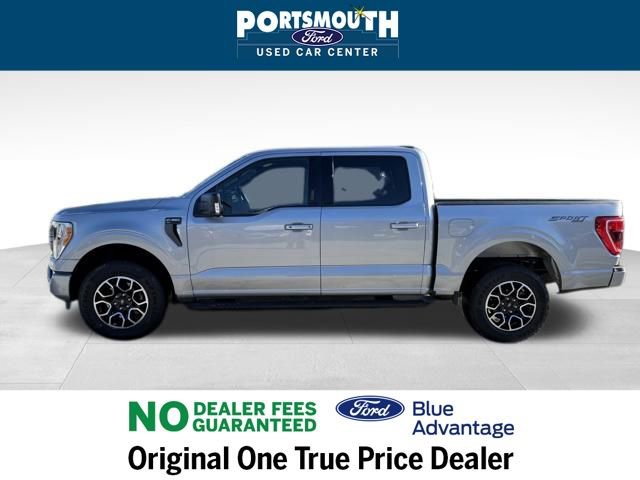 Used 2023 Ford F150 XLT w/ Equipment Group 302A High image 2