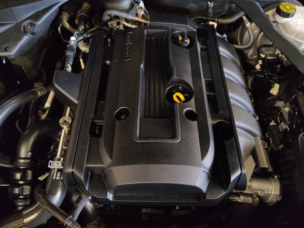 Used 2019 Ford Mustang Premium RWD image 30