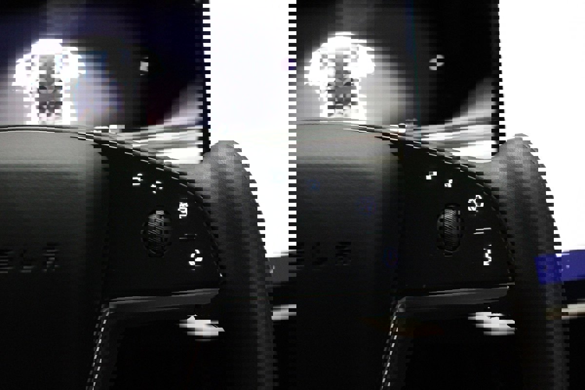 Used 2022 Tesla Model X Plaid image 39