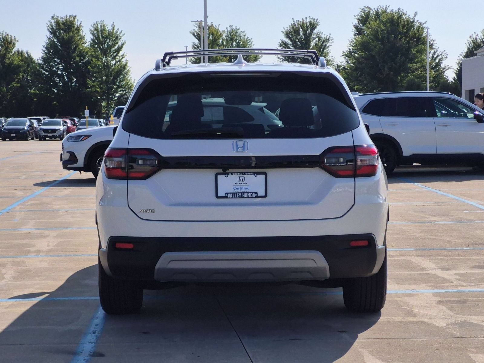 Certified 2025 Honda Pilot EX-L image 7