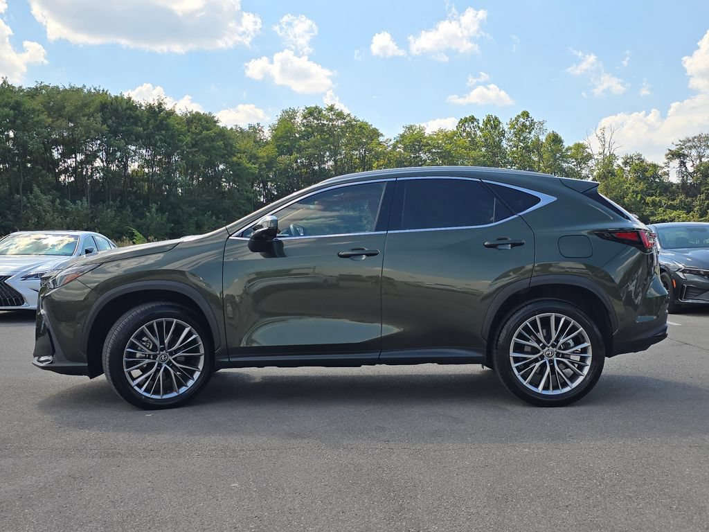 Certified 2025 Lexus NX 350h AWD w/ Cold Area Package image 23