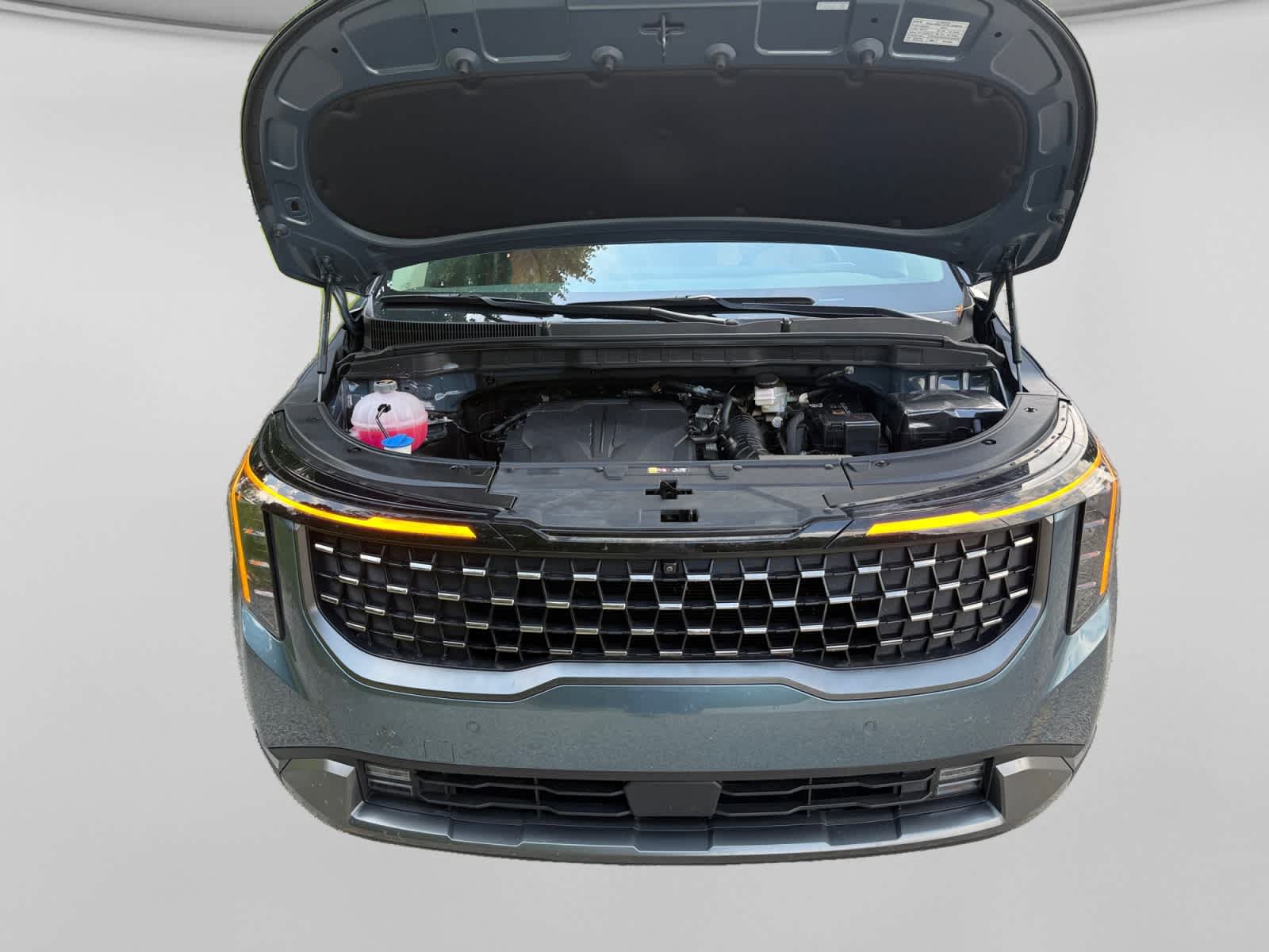 Used 2026 Kia Carnival SX w/ SX Dark Edition Package FWD image 24