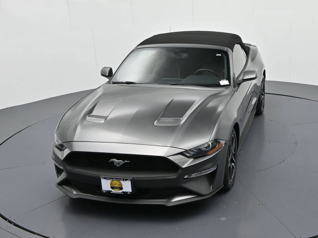 Certified 2019 Ford Mustang Premium RWD image 16