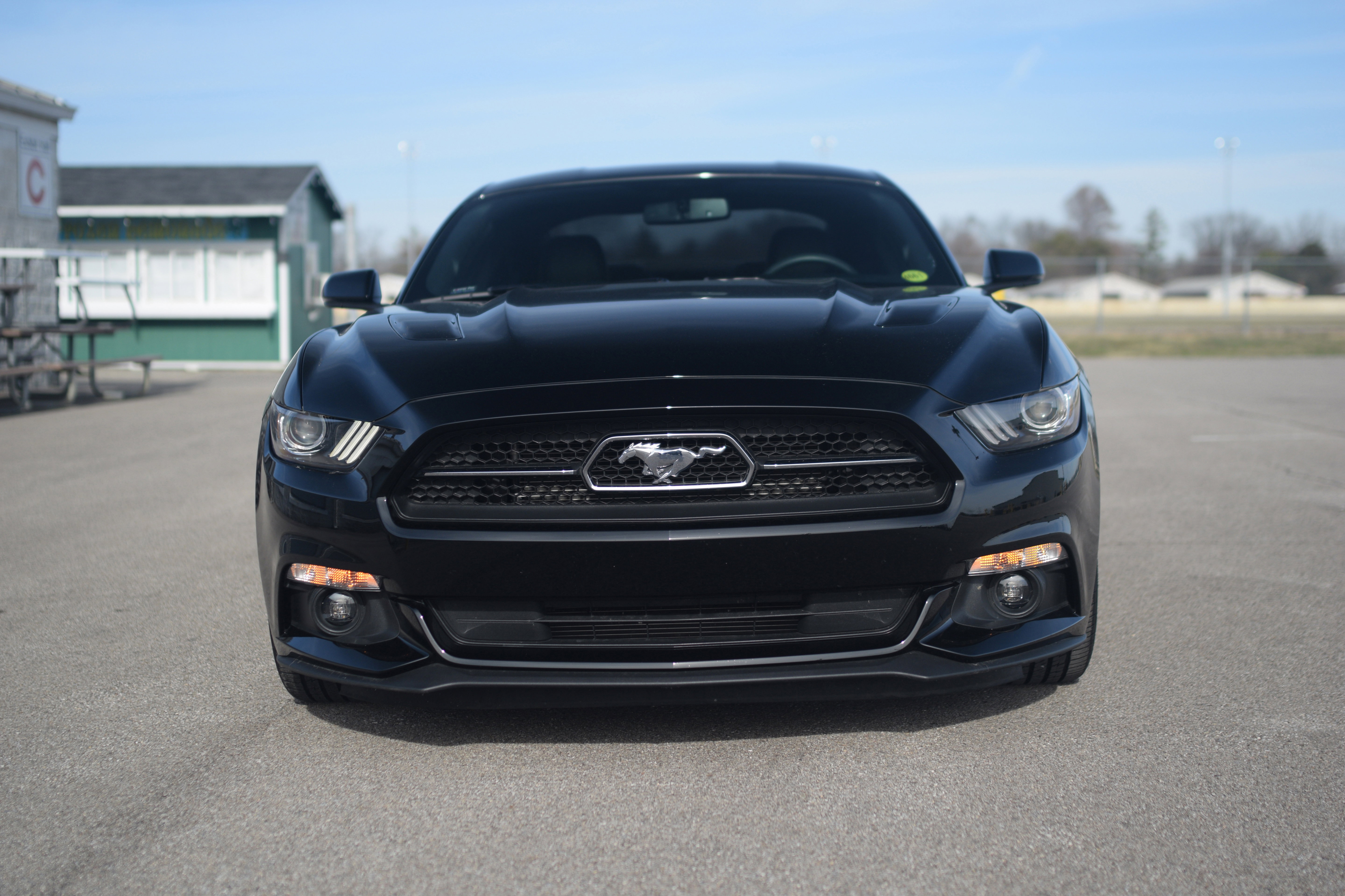 Used 2015 Ford Mustang GT Premium w/ Equipment Group 401A image 21