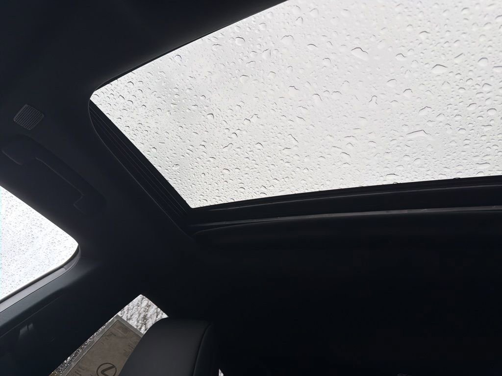 Used 2024 Lexus RX 350 Premium w/ Cold Area Package image 34