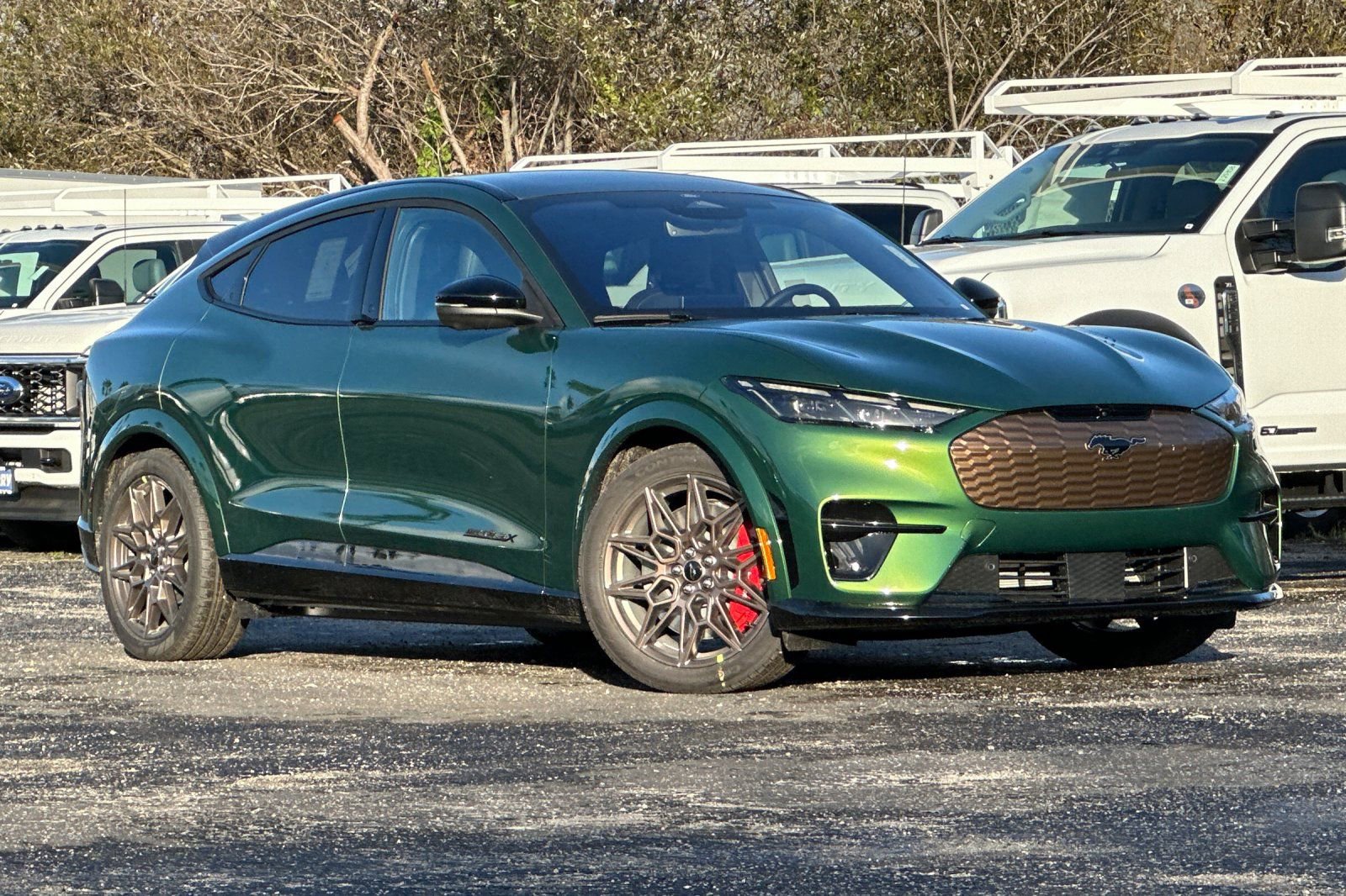 New 2025 Ford Mustang Mach-E GT w/ Bronze Appearance Package image 1
