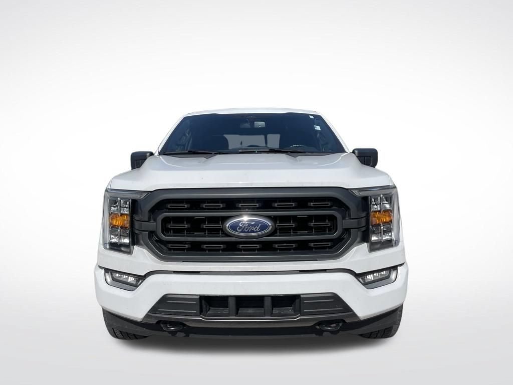 Used 2021 Ford F150 XLT w/ Equipment Group 302A High AWD/4WD image 3