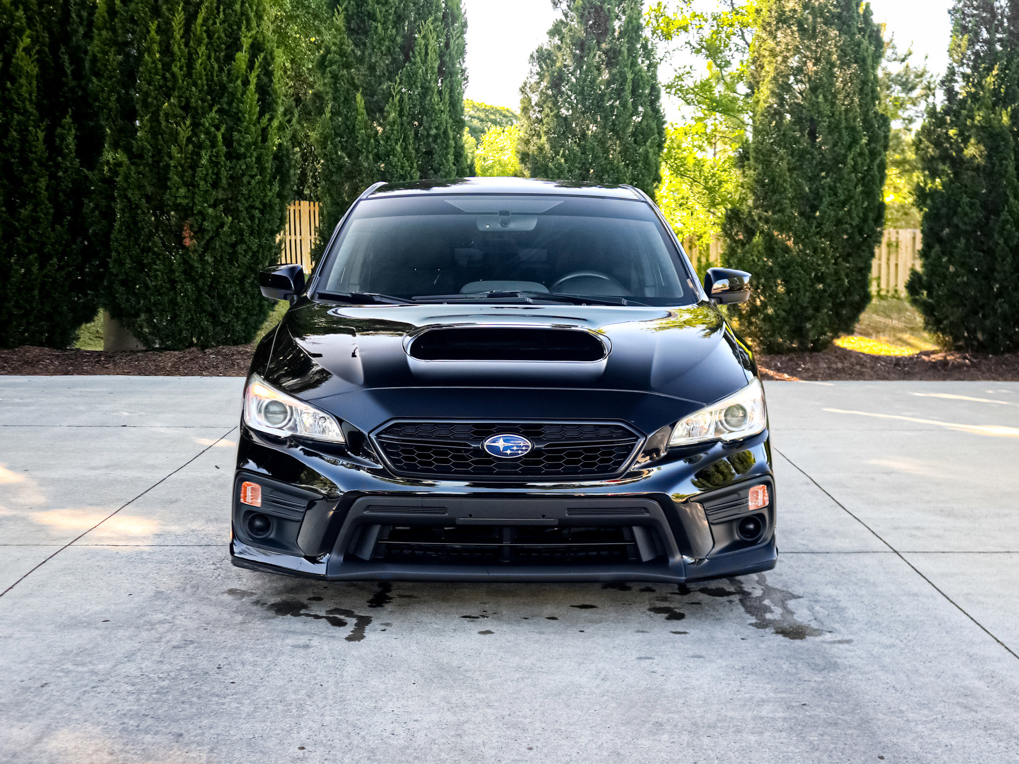 Used 2019 Subaru WRX AWD/4WD image 3