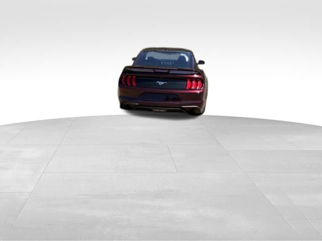 Used 2018 Ford Mustang Premium w/ Ecoboost Performance Package RWD image 7