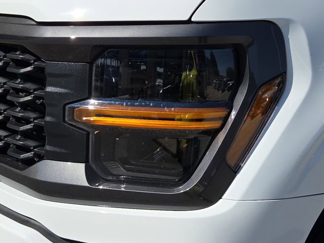 New 2025 Ford F150 STX w/ Equipment Group 200A image 4