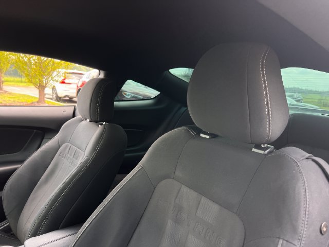 Used 2019 Ford Mustang Coupe RWD image 13