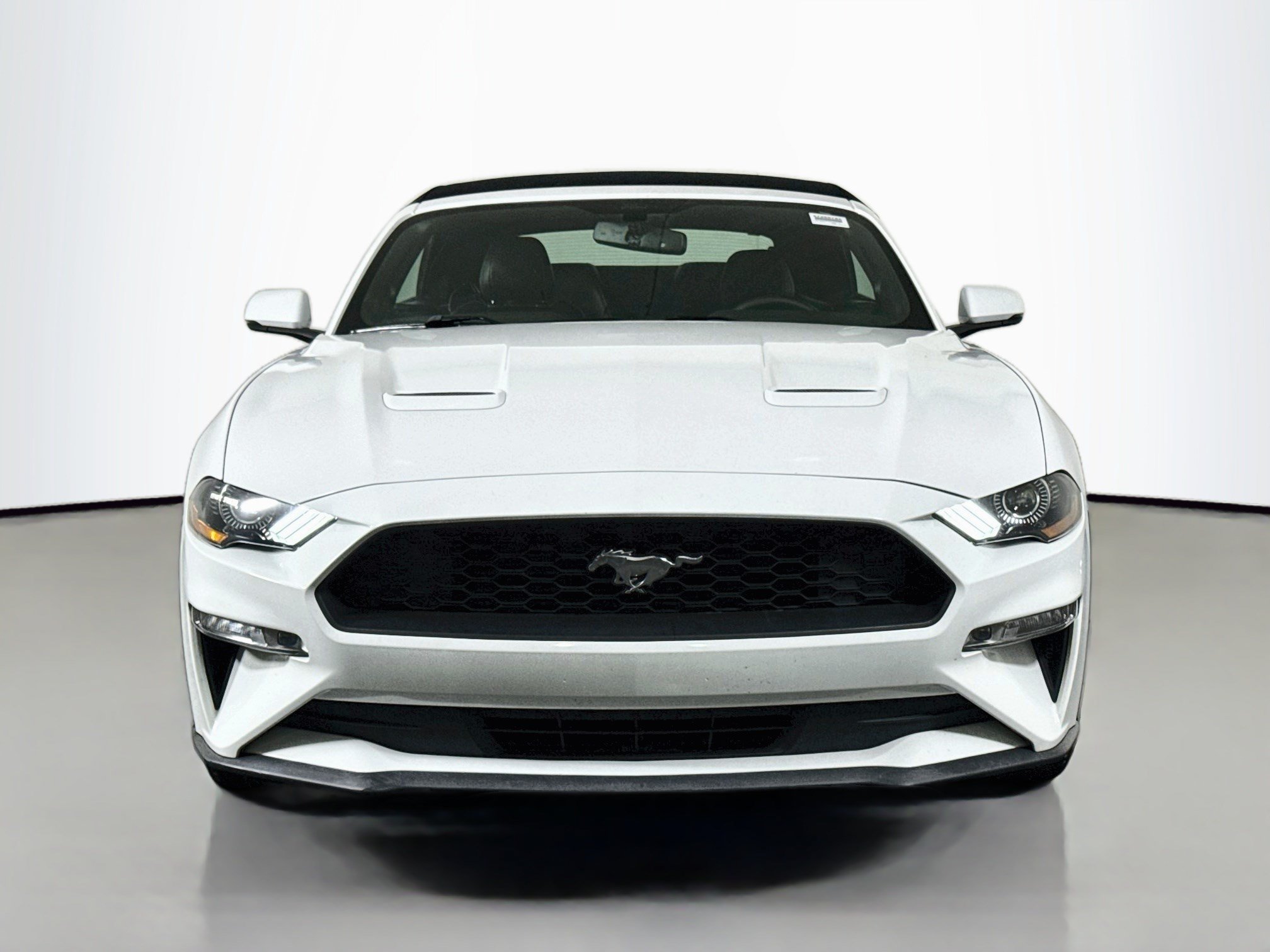Used 2019 Ford Mustang Premium RWD image 2