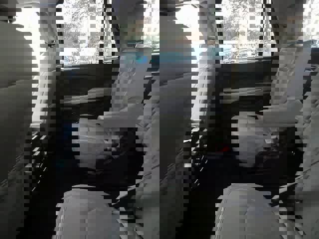 Certified 2024 Ford Expedition Limited image 10