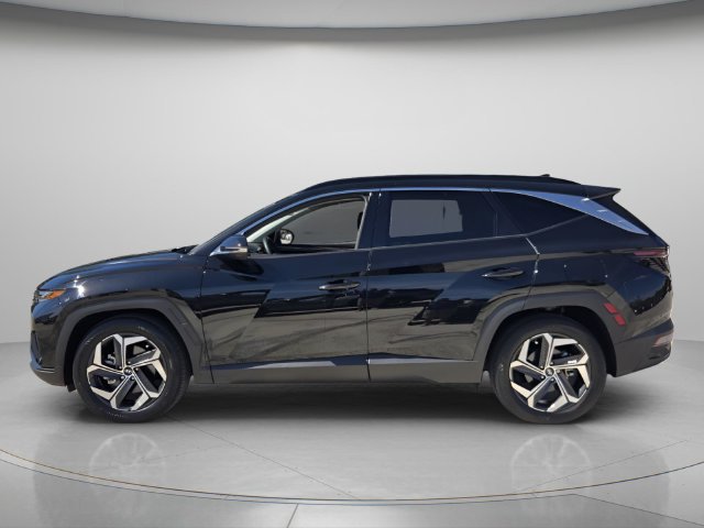 Used 2024 Hyundai Tucson Limited FWD image 3