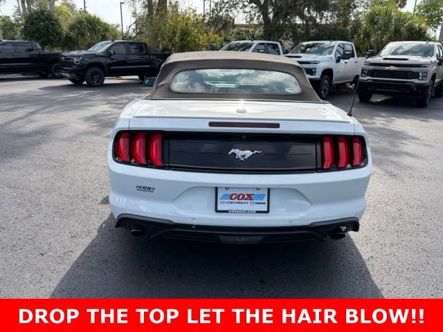 Used 2020 Ford Mustang Premium RWD image 5