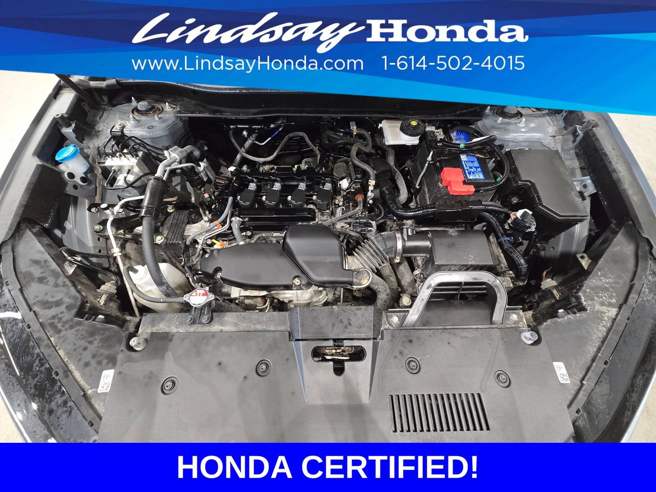 Certified 2025 Honda CR-V EX-L image 25