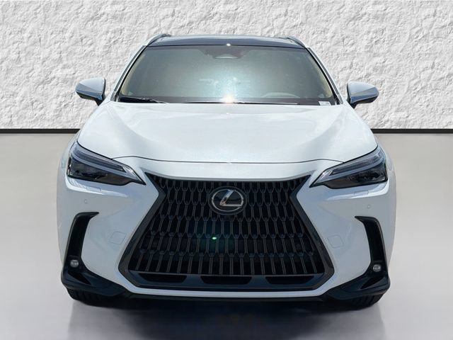 New 2026 Lexus NX 350 AWD w/ Luxury Package image 8