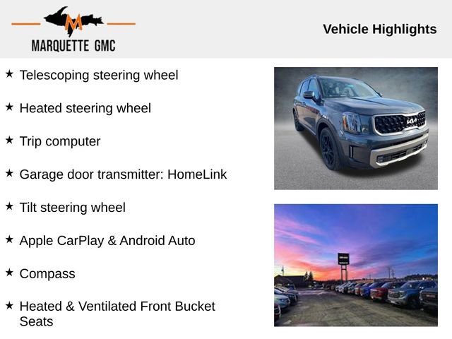 Used 2023 Kia Telluride SX image 12