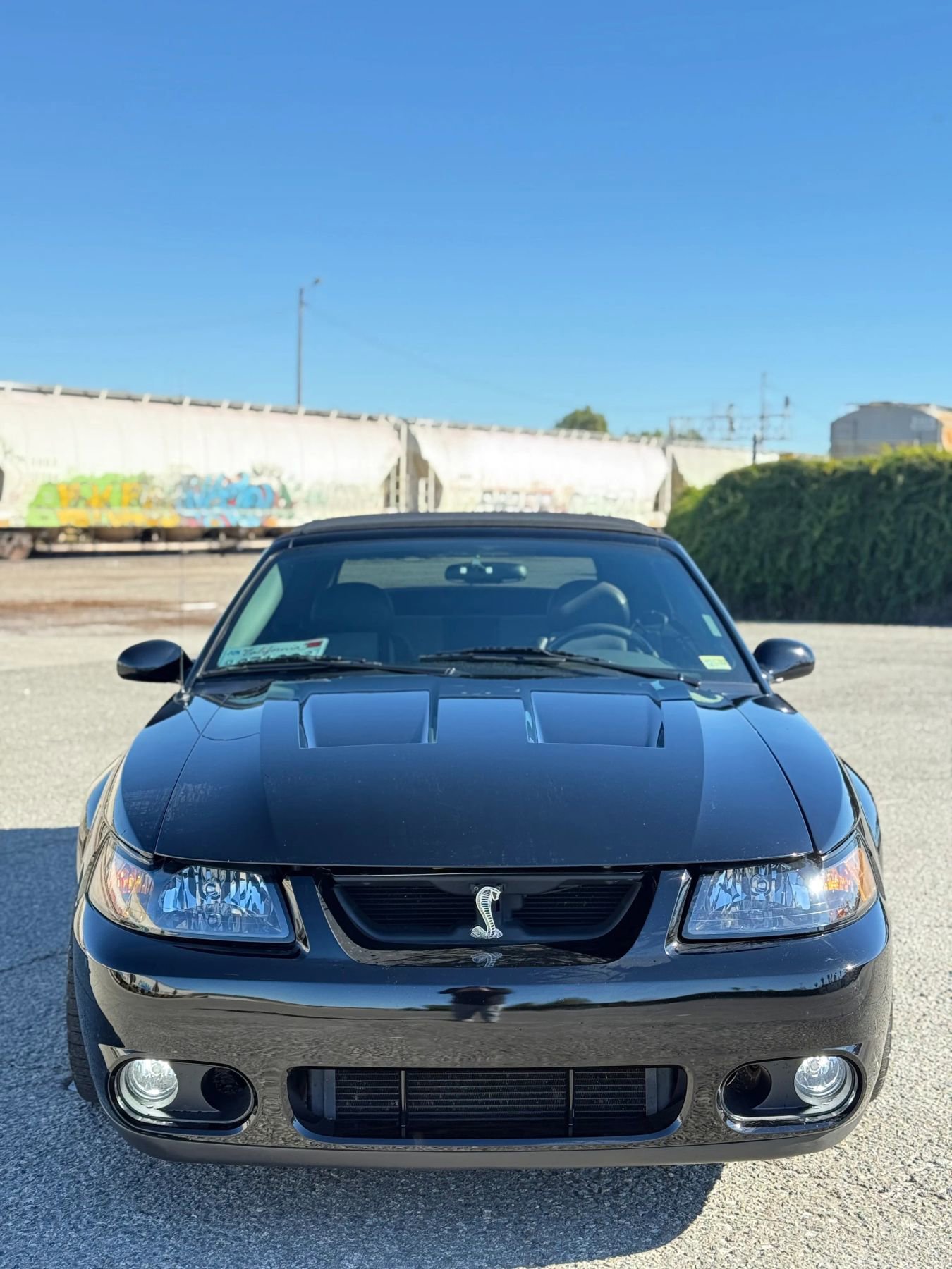 Used 2004 Ford Mustang Cobra image 13