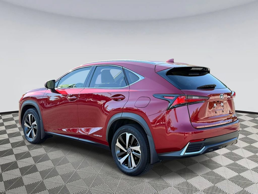 Used 2020 Lexus NX 300h AWD w/ Premium Package image 4
