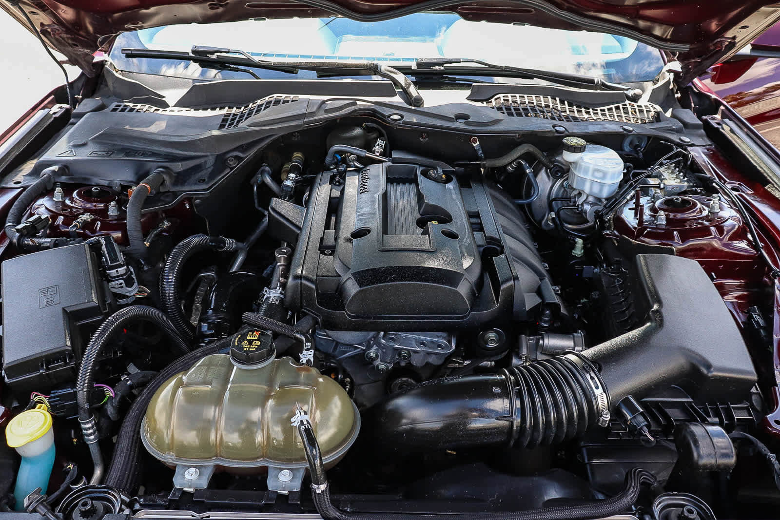 Used 2018 Ford Mustang Coupe RWD image 30