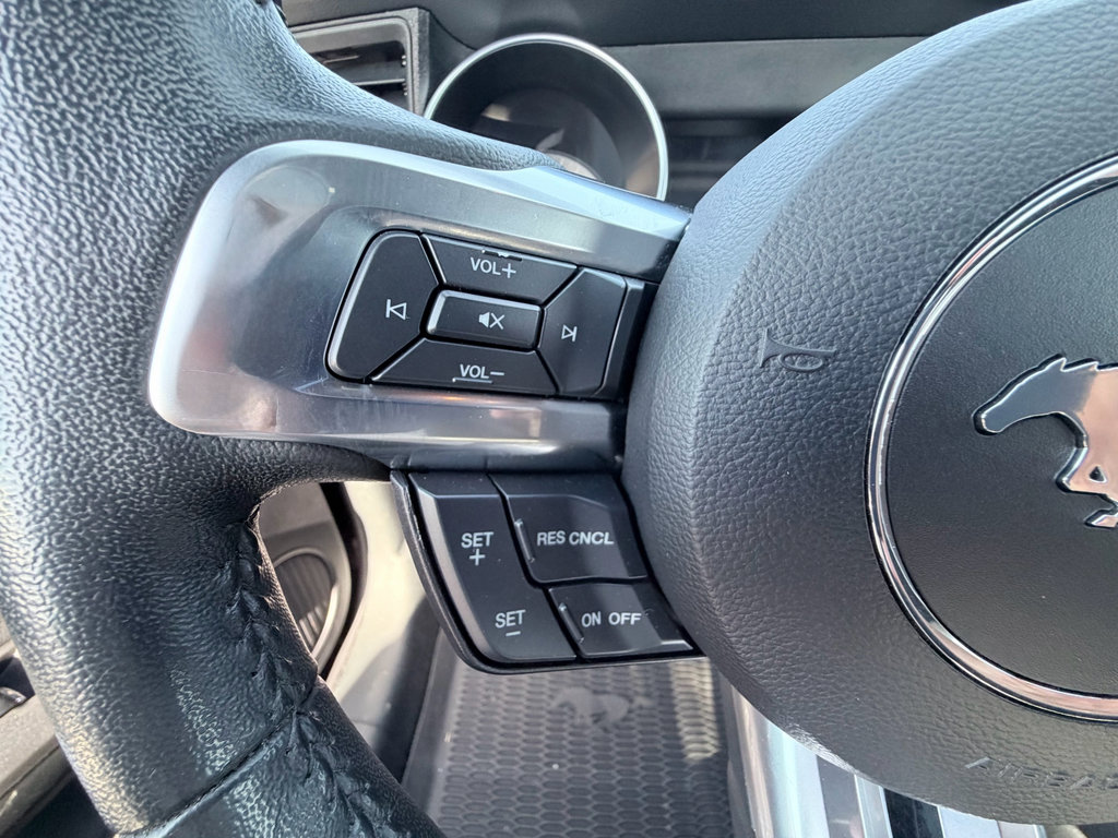 Used 2023 Ford Mustang EcoBoost w/ Equipment Group 101A image 12