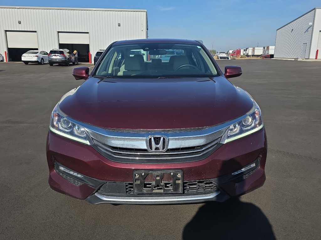 Used 2016 Honda Accord EX image 2