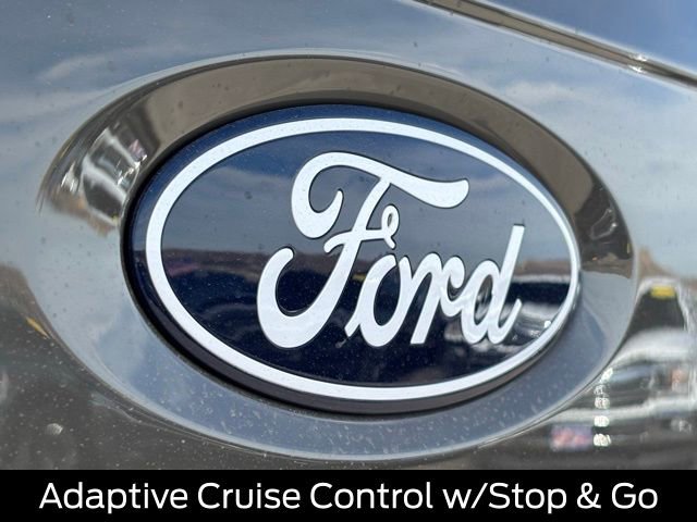 New 2025 Ford F150 XLT w/ Equipment Group 302A MID image 19