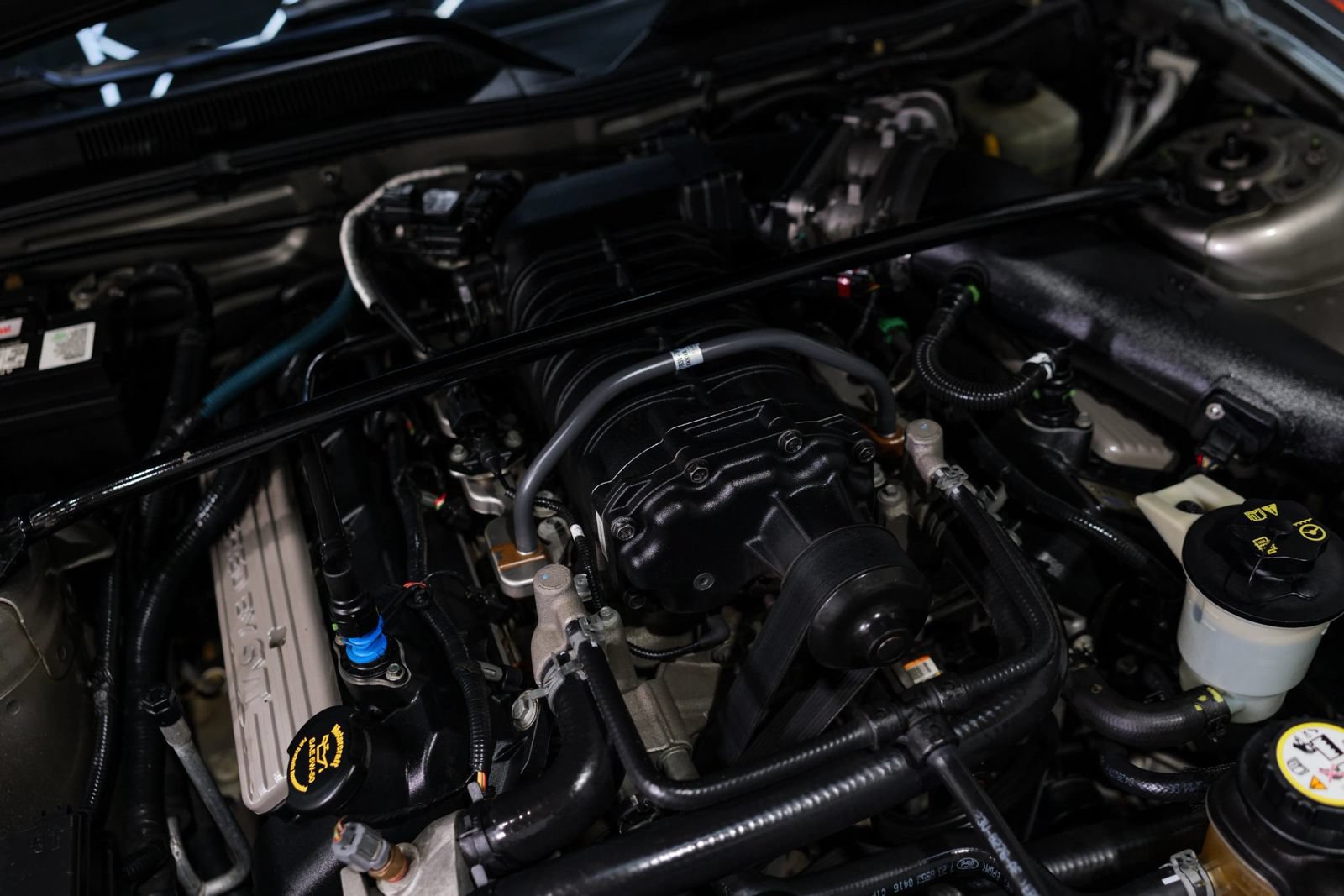 Used 2008 Ford Mustang Shelby GT500 RWD image 4