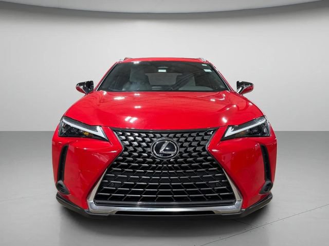 Used 2025 Lexus UX 300h AWD w/ Cold Area Package image 8