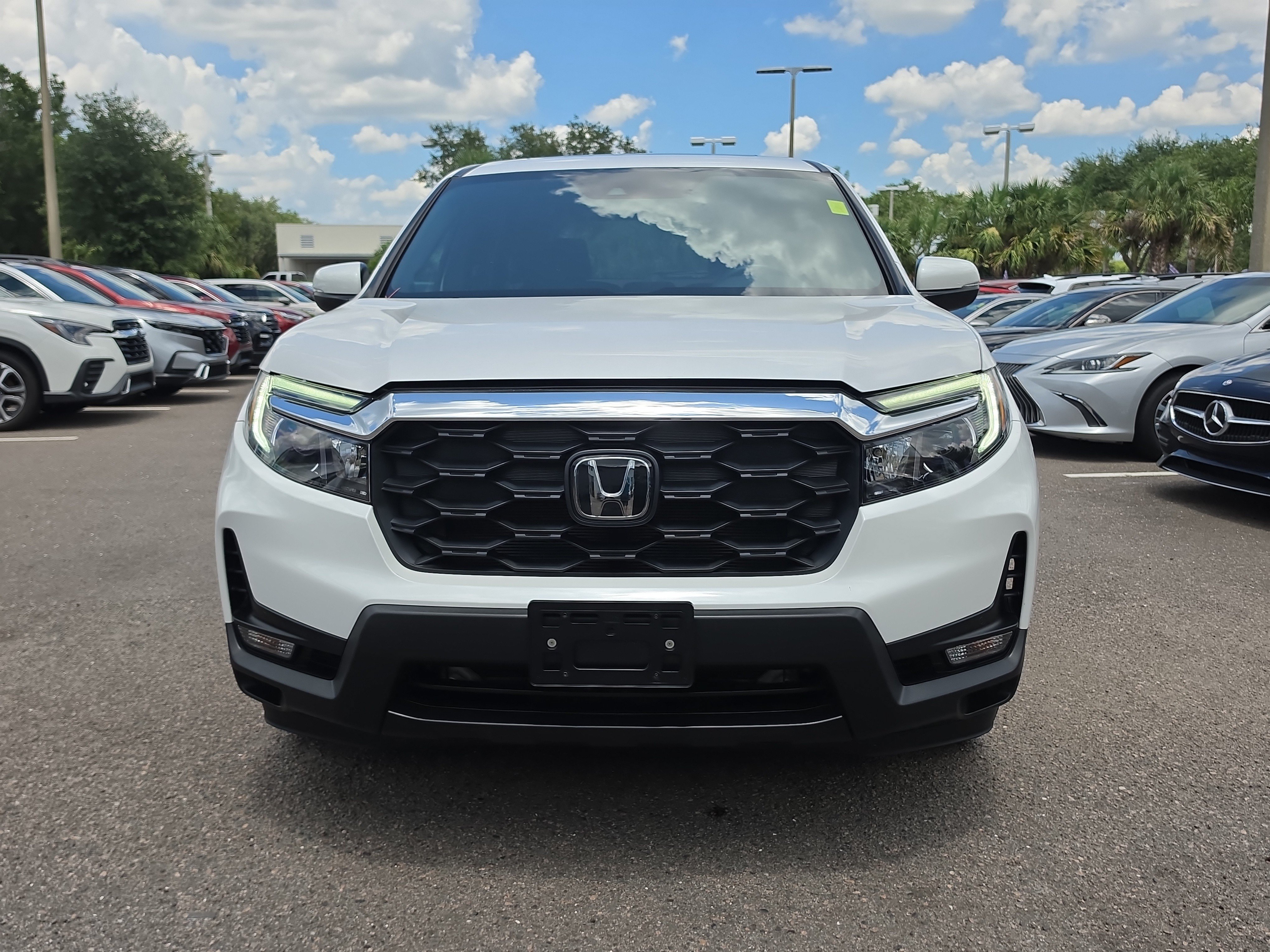 Used 2024 Honda Passport EX-L image 3