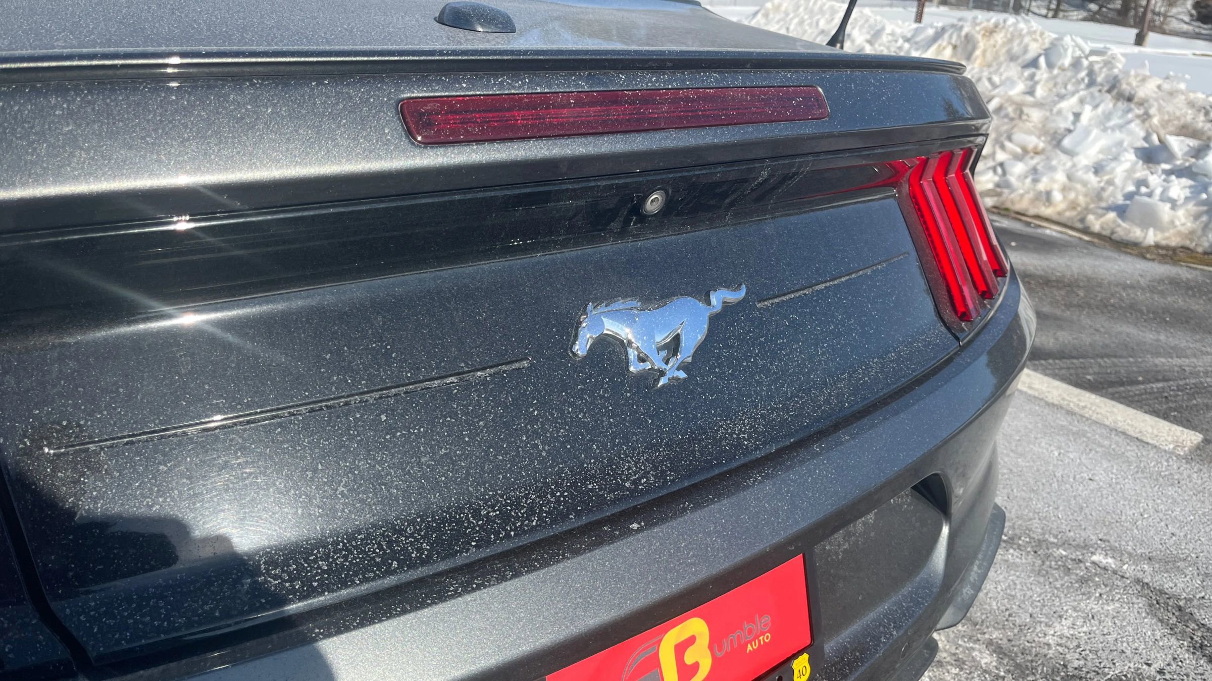 Used 2020 Ford Mustang Premium image 13