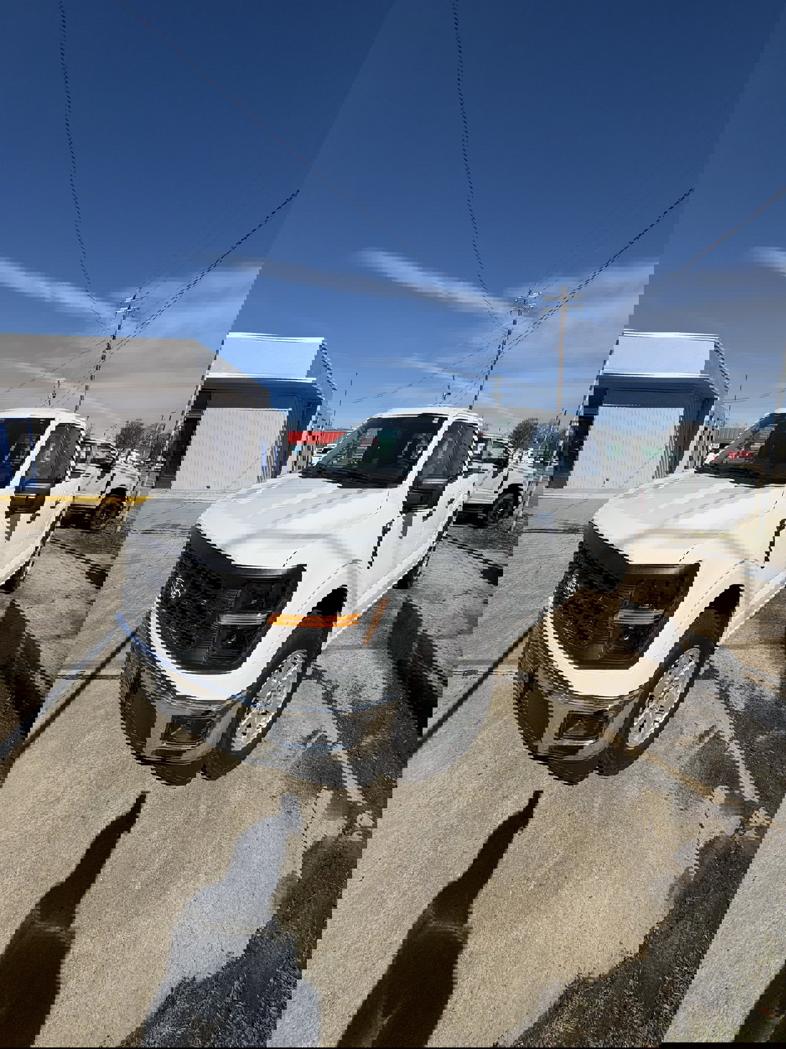 Used 2025 Ford F150 XL w/ Equipment Group 103A High image 1