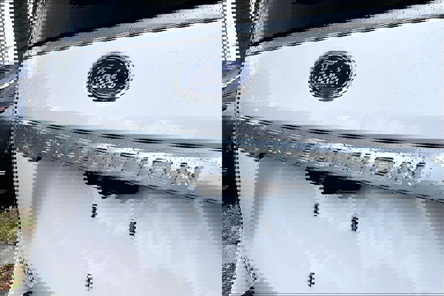 Used 2019 Ford Expedition Platinum image 10