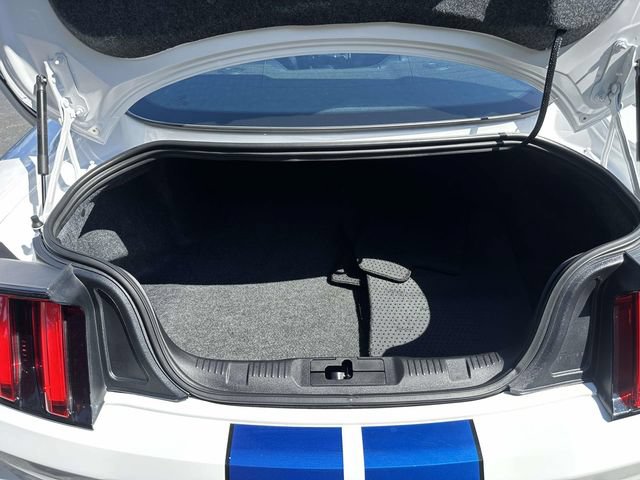 Used 2017 Ford Mustang Shelby GT350 RWD image 34