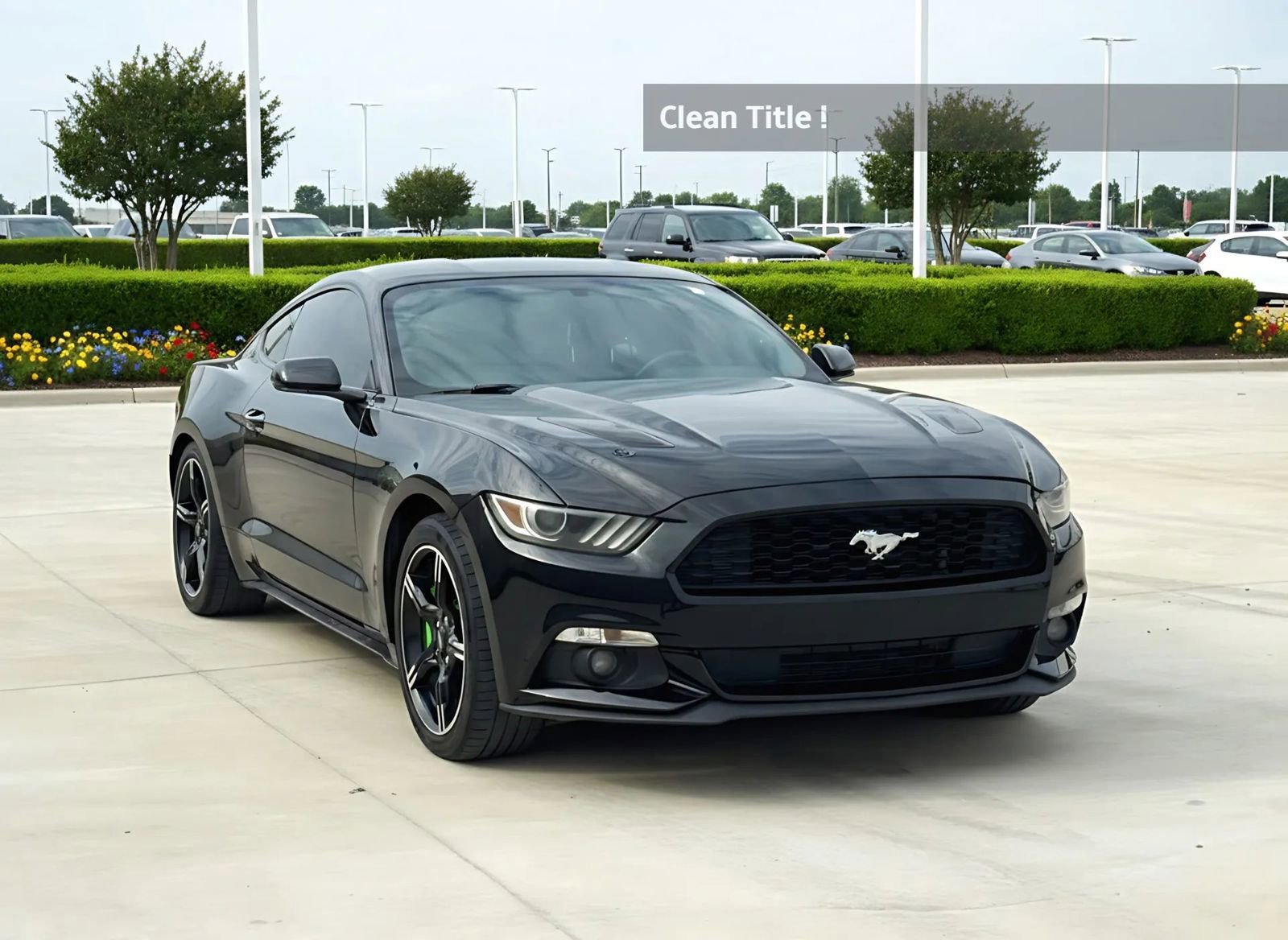 Used 2016 Ford Mustang GT w/ GT Performance Package image 5
