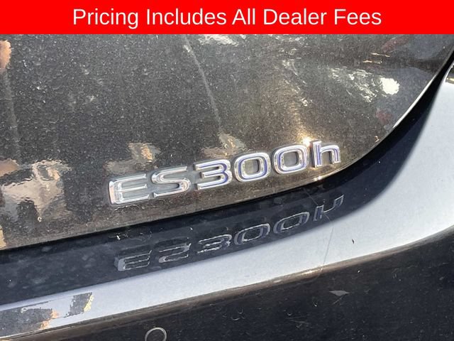 Used 2019 Lexus ES 300h w/ Accessory Package 2 FWD image 6