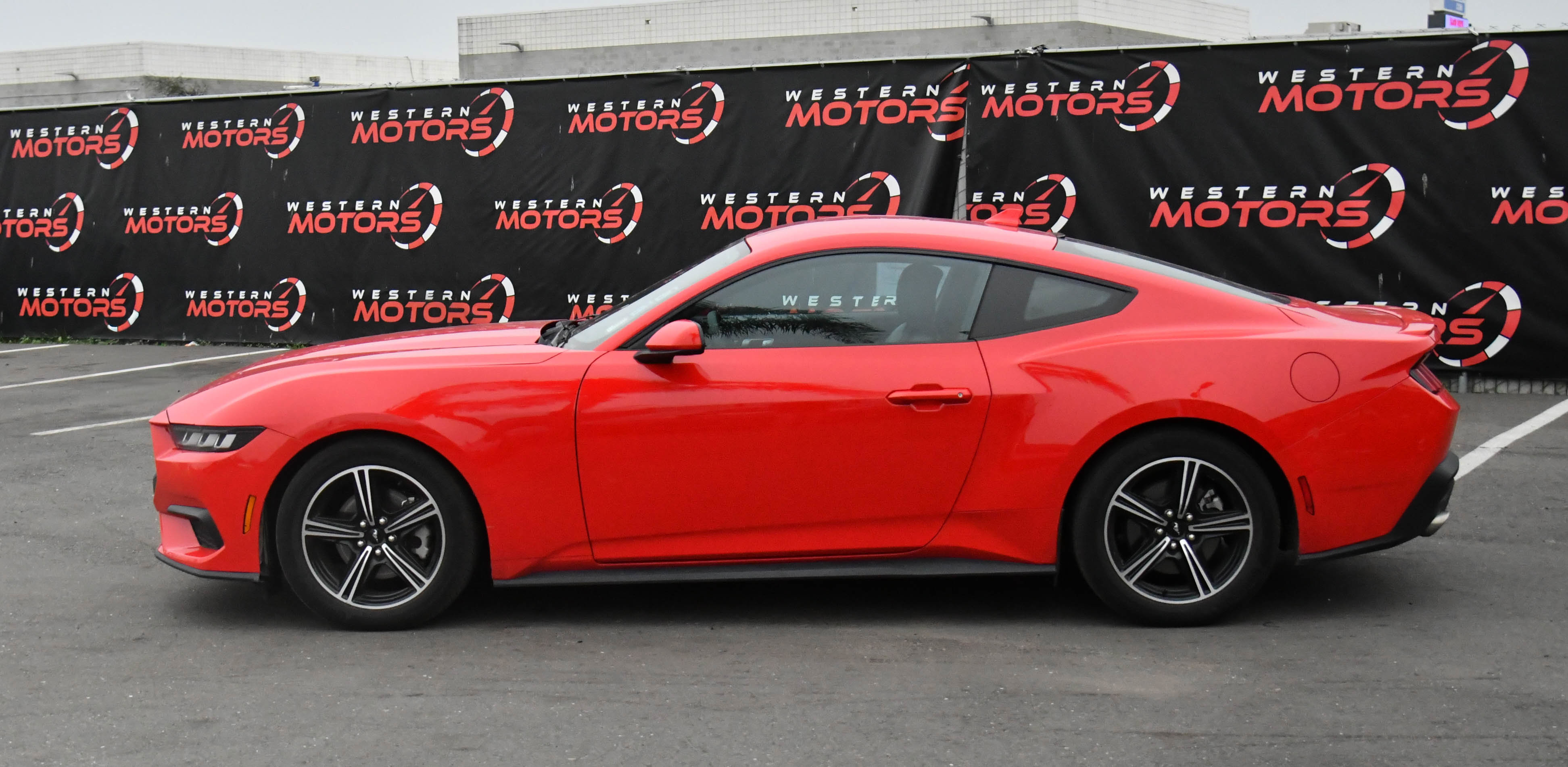 Used 2024 Ford Mustang Premium image 4