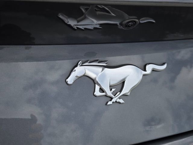 Used 2024 Ford Mustang Premium RWD image 10