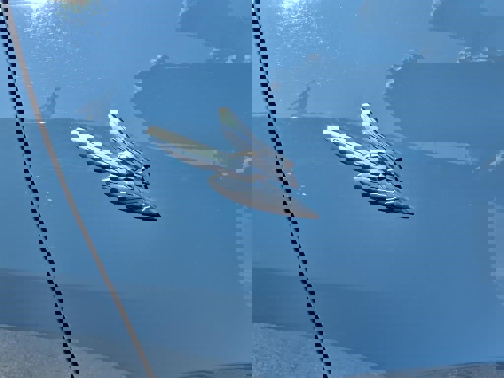 Used 2024 Dodge Hornet GT image 23