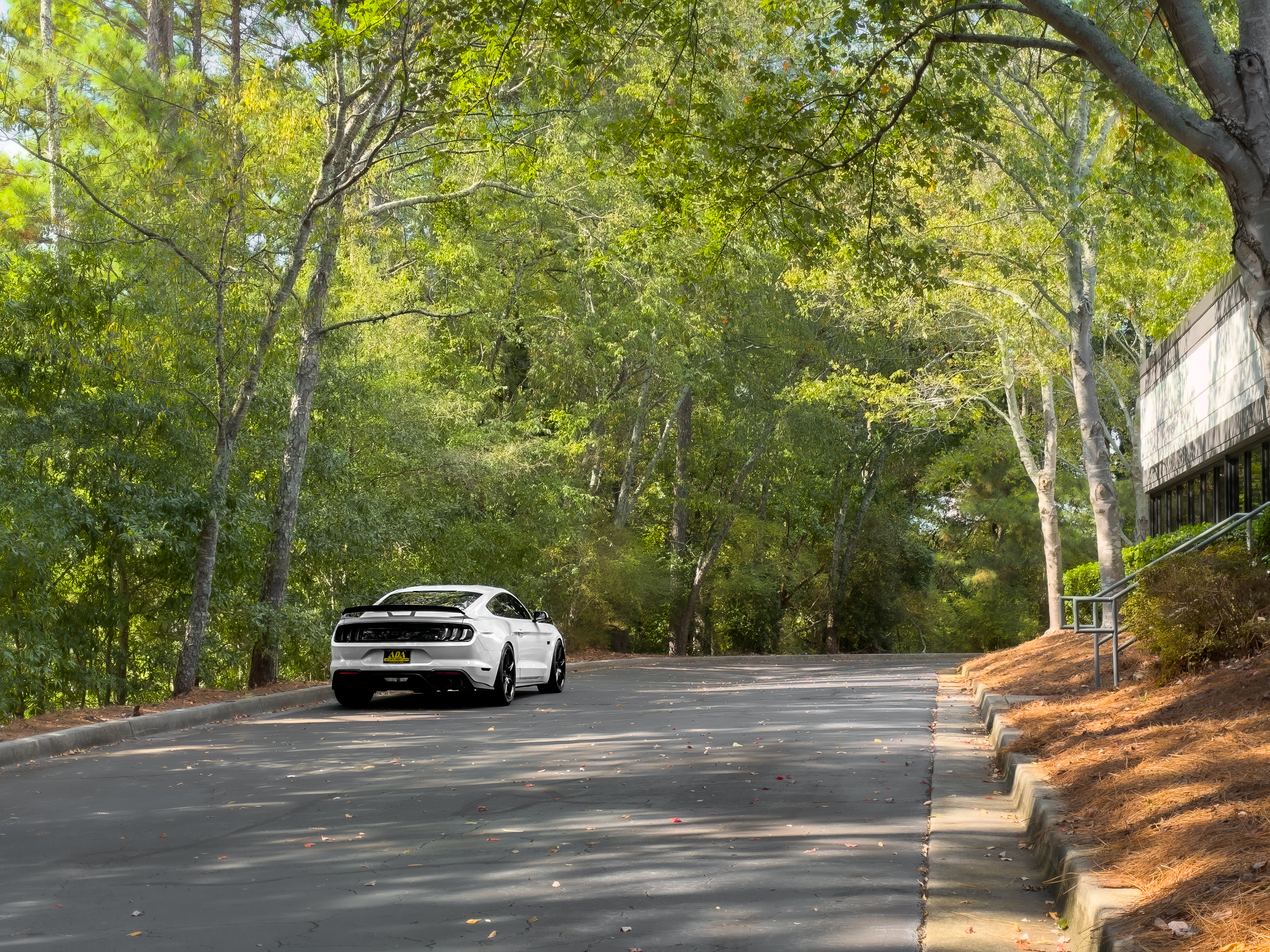 Used 2019 Ford Mustang GT Premium w/ GT Performance Package RWD image 38