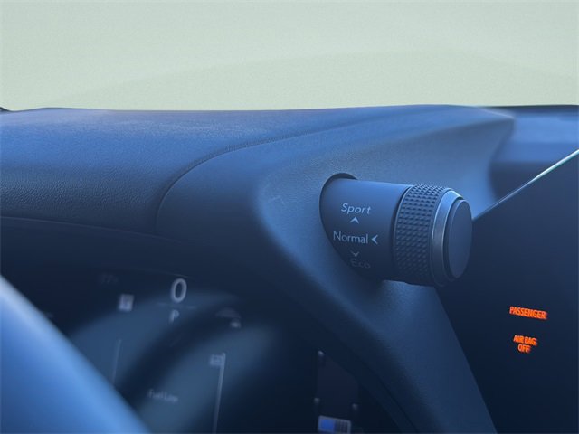 Used 2025 Lexus UX 300h AWD w/ Cold Area Package image 33