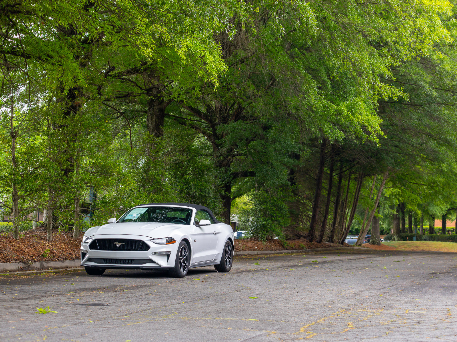 Used 2019 Ford Mustang GT Premium w/ Equipment Group 401A RWD image 36